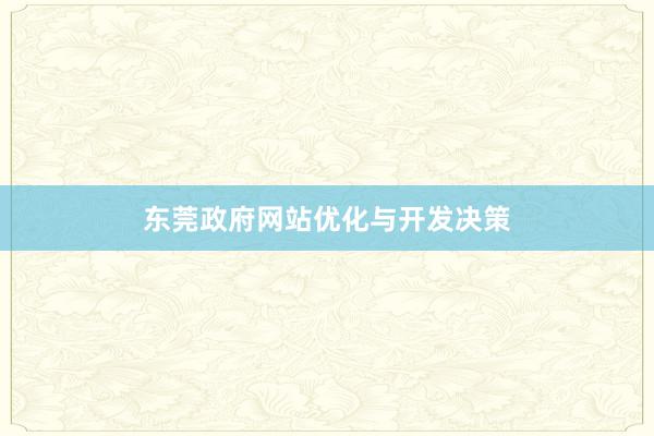 东莞政府网站优化与开发决策